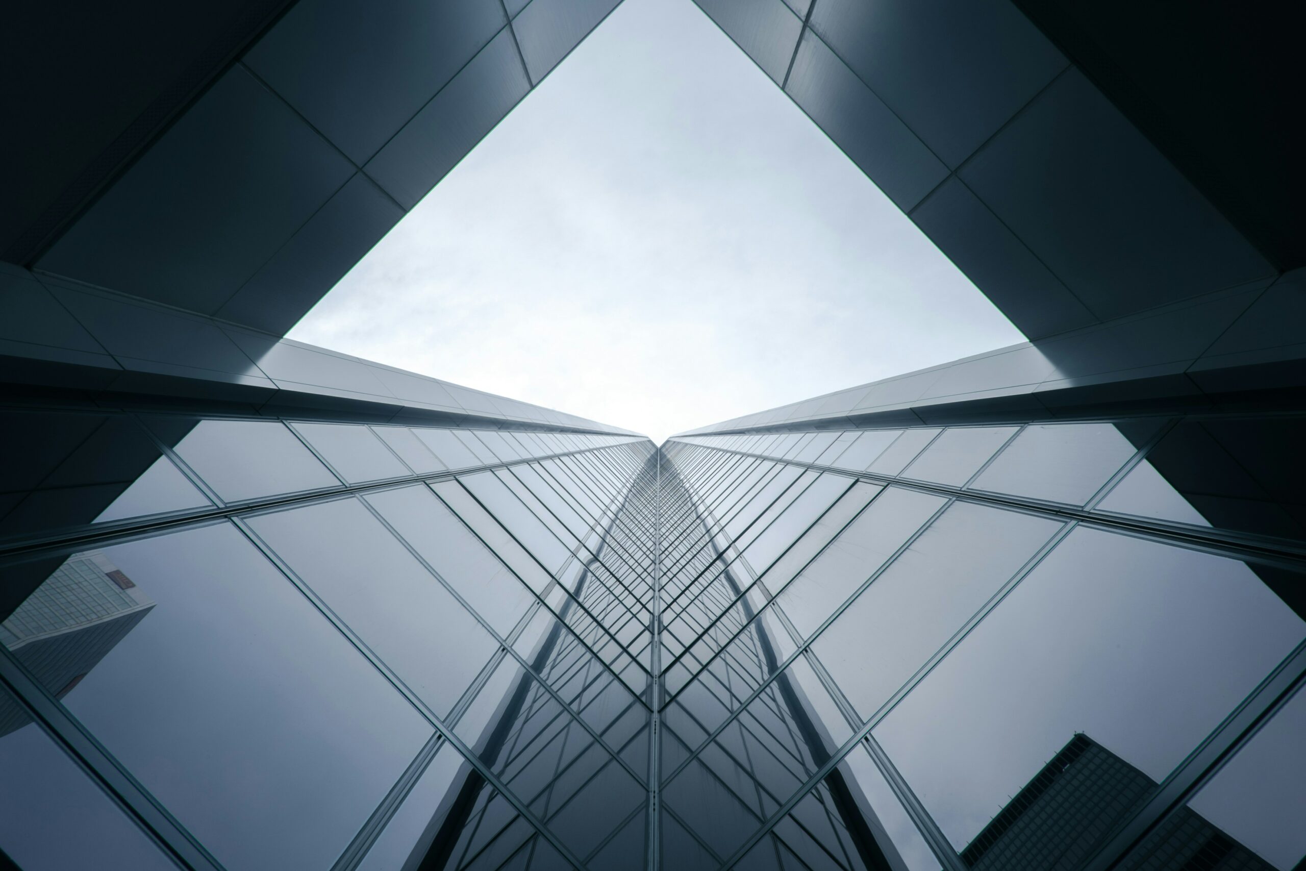 Culture d'entreprise
